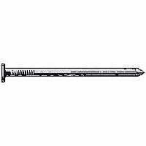 ProFIT Nail Box Hot-Dip Galvanized 16D 3-1/2IN 1LB